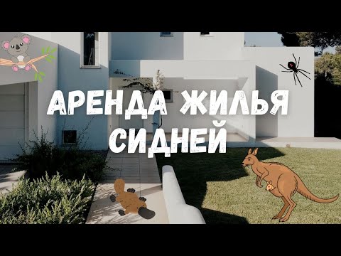 Видео: Аренда Жилья в Сиднее