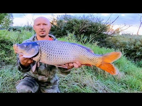 Видео: Кастинговая сеть против хапуги -хлопушки , что в итоге лучше ловит рыбу???! РОЗЫГРЫШ ХАПУГИ! Рыбалка