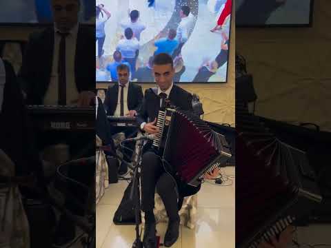 Видео: вайсул