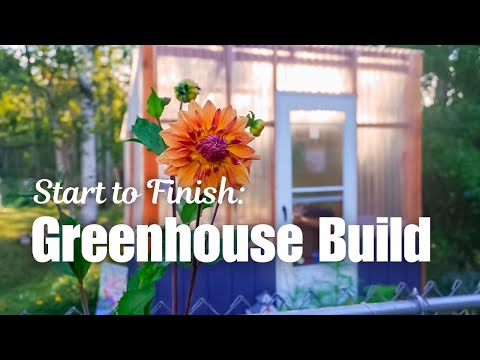 Видео: От начала до конца: строительство теплицы