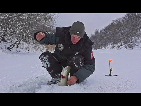 Видео: ВОТ ЭТО КЛЁВ В ГЛУХОЗИМЬЕ! ТАКОЕ БЫВАЕТ РЕДКО! Рыбалка на жерлицы 2025.