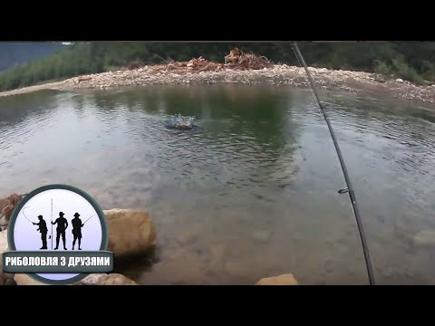 Видео: ШАЛЕНИЙ КЛЬОВ ФОРЕЛІ В КАРПАТАХ. Брат на риболовлі в гірській річці Карпат