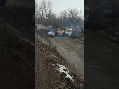 Видео: Жом