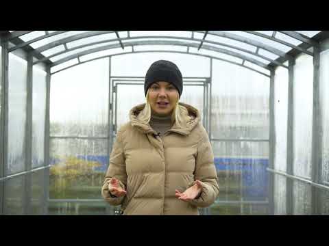 Видео: теплица Весна 2Д Оптима обзор