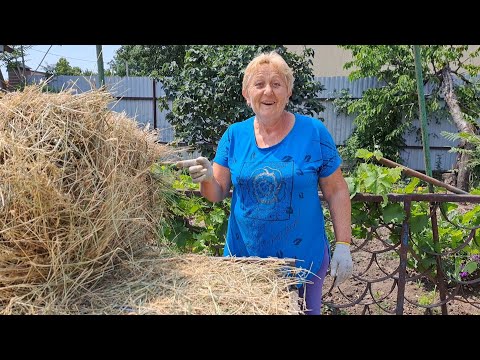 Видео: Облом подкрался не заметно!