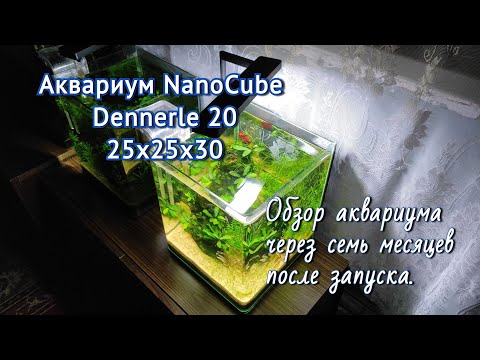 Видео: Аквариум NanoCube Dennerle 25х25х30.