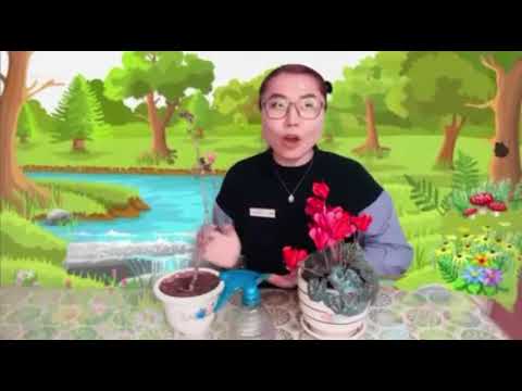 Видео: Туршилт СӨБ БНО