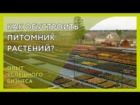 Видео: Организация питомника растений. Как сделать всё по уму? Опыт успешного бизнеса Новая территория 12га
