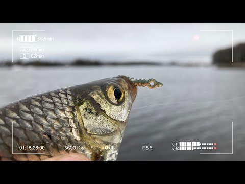 Видео: Eleven Lures Atata. Новинка 2025 года в мире Мормышинга и Микроджига