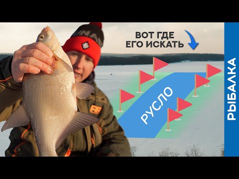 Видео: Показываю как найти КРУПНОГО ЛЕЩА на водохранилище. Все подробности!