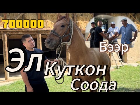 Видео: Сооданын кучтуусу болдуТалант 700 го алды