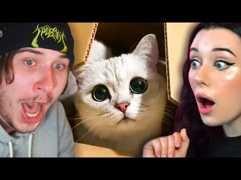 Видео: ТикТок моя девушка присылает, но я НЕ открываю [#2]