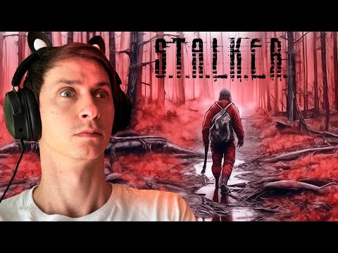 Видео: S.T.A.L.K.E.R. Чистое небо Mr. Cat! #8 Рыжий лес!