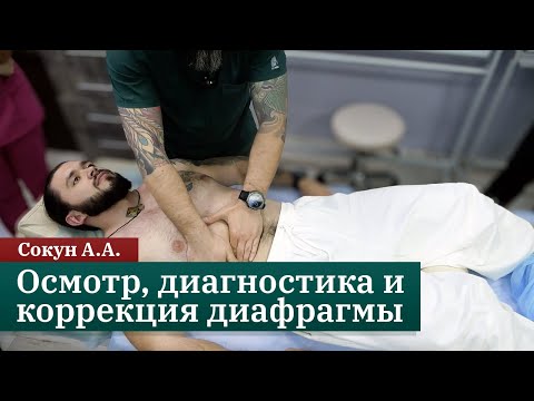 Видео: Метод «сухой иглы»: осмотр, диагностика и коррекция диафрагмы. Сокун А.А.