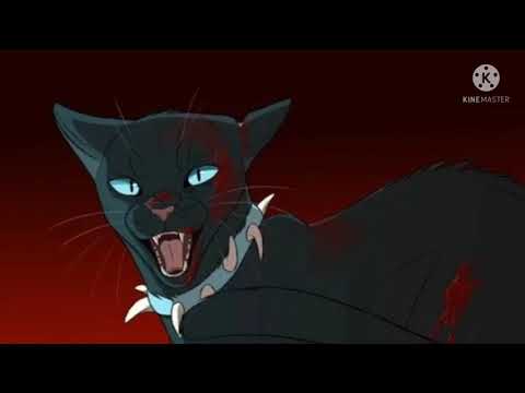 Видео: Коты воители клип про Бича - Ангел или бес.