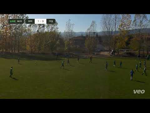 Видео: Орлетата 2013 vs Пирин ГД