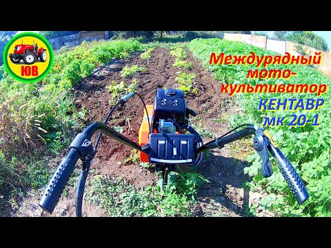 Видео: Междурядный мотокультиватор! Прополка огурцов второй посадки!