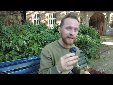 Видео: Выбор IT-компании: Стартап или Крупная? Как я ошибся!