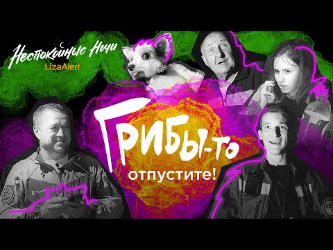 Видео: "Всех, кого находим - хватаем и тащим в штаб!". "Неспокойные ночи. ЛизаАлерт". 4 сезон, 3 серия