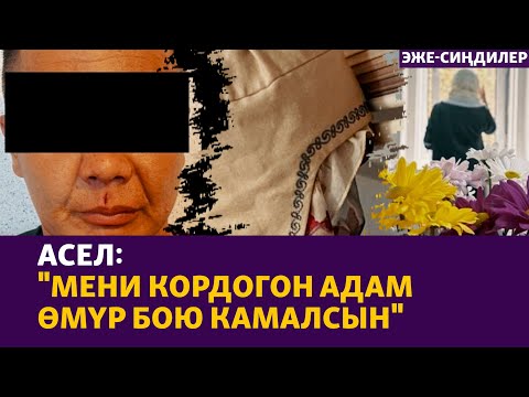 Видео: Асел: Кыргыз аялдары айласыздан күчтүү болот