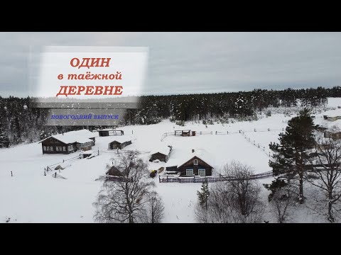 Видео: ОДИН в таёжной ДЕРЕВНЕ. Провожаю старый год.