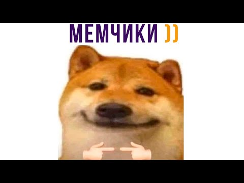 Видео: У МЕНЯ ТУТ ЭТО... МЕМЧИКИ))) Приколы | Мемозг 797