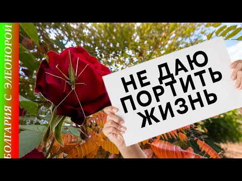 Видео: Плохие Новости в ДР | Болгария, Солнечный берег.