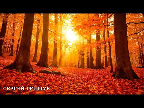 Видео: СНОВА ОСЕНЬ🍁 Сборник ЛУЧШИХ Мелодий от которых мурашки по телу!#relaxmusic #Golden Autumn 2025#relax