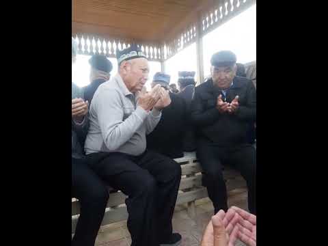 Видео: Бабамурат Хамдамов устазни зиярат килдик