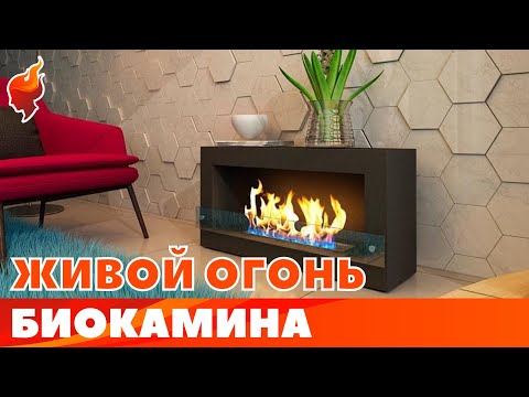 Видео: Камин без дров и дымохода. Как выбрать биокамин!