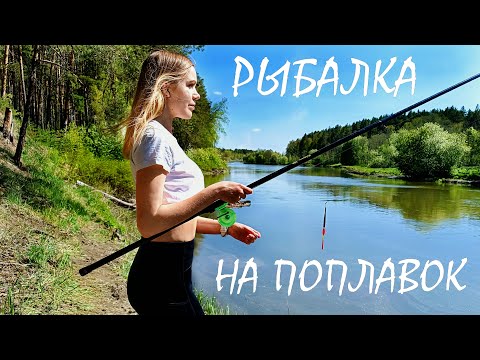 Видео: УТРО, РЕКА И КУЧА РЫБЫ! Ты точно скучал по такой рыбалке!