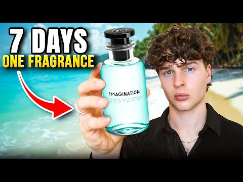 Видео: Я носила Louis Vuitton Imagination каждый день в течение недели