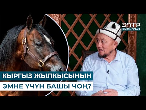 Видео: КЫРГЫЗ ЖЫЛКЫСЫНЫН ЭМНЕ ҮЧҮН БАШЫ ЧОҢ? // МУРАС САБАТЫ