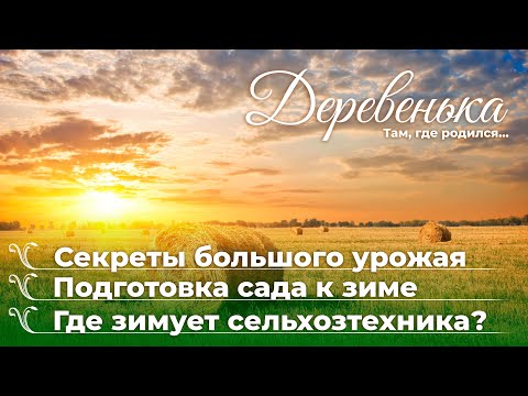 Видео: Секреты большого урожая // Подготовка сада к зиме // Где зимует сельхозтехника? //Деревенька