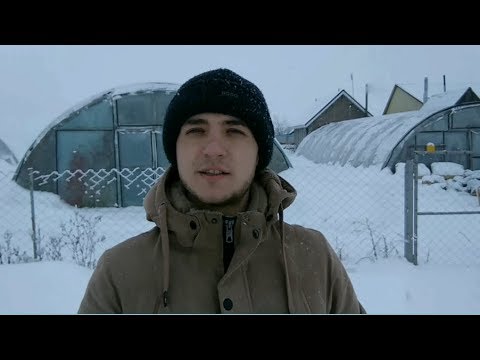 Видео: Что выгоднее выращивать в теплицах?