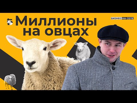 Видео: 5 миллионов чистой прибыли. Овцы как бизнес. Как сельский франт построил с нуля ферму