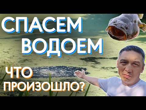 Видео: Спасем водоем часть 3. Продолжаем спасать заросший водоем бюджетными способами.