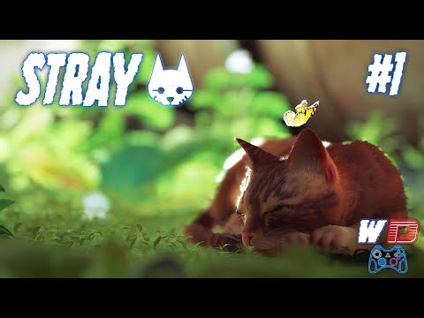 Видео: Stray. Прохождение #1. Похождение рыжего котика