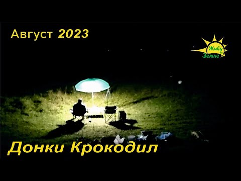 Видео: Рыбалка С Ночёвкой. Донки Крокодил. Ночная Рыбалка 2023