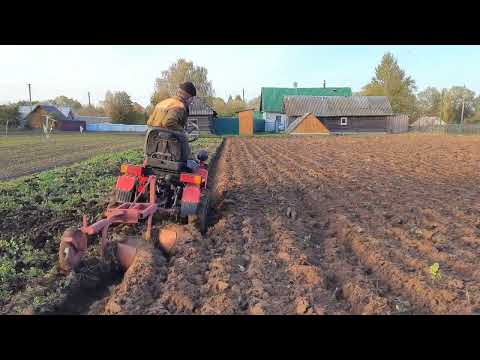 Видео: Мтз-132Н. Вспашка сидератов.