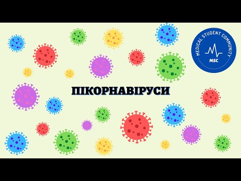 Видео: ПІКОРНАВІРУСИ: віруси поліомієліту, Коксакі А та В, ECHO