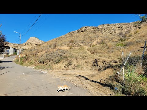 Видео: 28.10.2024 Tbilisi. поселение Дачи Мухиани