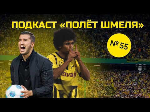 Видео: Полёт Шмеля #55. Почему команду штормит? #Боруссия