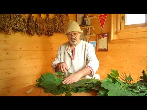 Видео: Кленовый веник