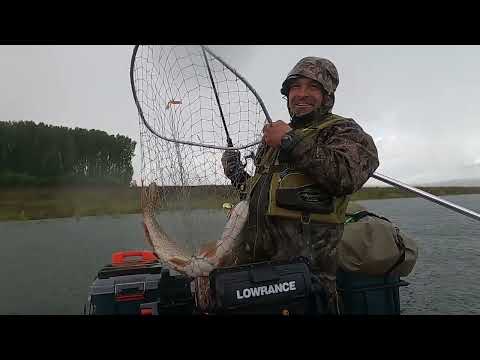 Видео: Универсальная лодка с тонелем по большой воде. Приключения с рыбалкой в заливе Дербина.  ч.1