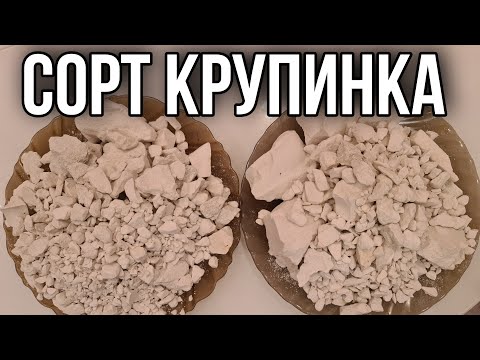 Видео: Прямой Эфир (9) CHALK | Меловой | Сорт Крупинка