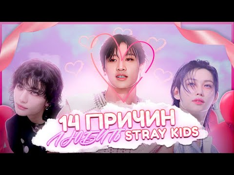 Видео: 14 причин любить STRAY KIDS