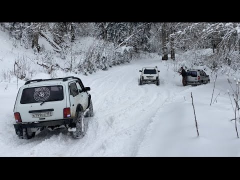 Видео: Перевал Гизла 8 января 2023 . Прокатились в выходной день на нивах