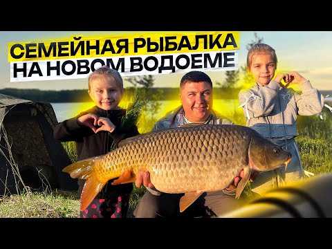 Видео: Ловля карпа у камыша на Огромном Водохранилище. Долгожданный судак и щука на спиннинг.