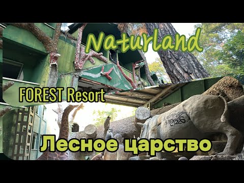 Видео: Naturland. Территория Forest Resort. Чамьюва.